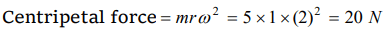 q53